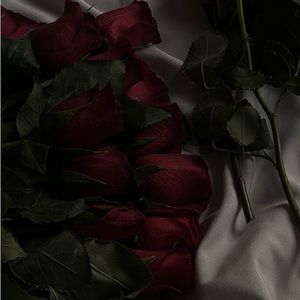 Meet your Posher, Lorna